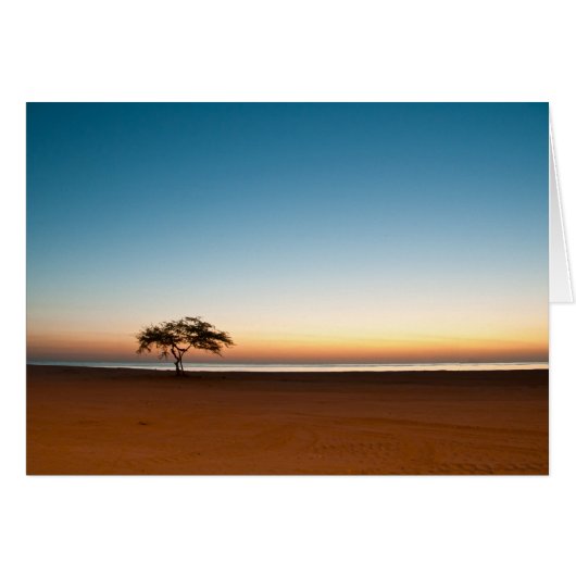 Lonely tree at sunrise in Kuwait Cards (Front Horizontal)