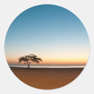 Lonely tree at sunrise in Kuwait Classic Round Sticker