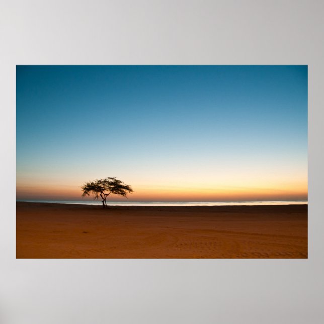 Lonely tree at sunrise in Kuwait Poster (Front)