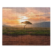 Lonely Tree at Sunset Landscape