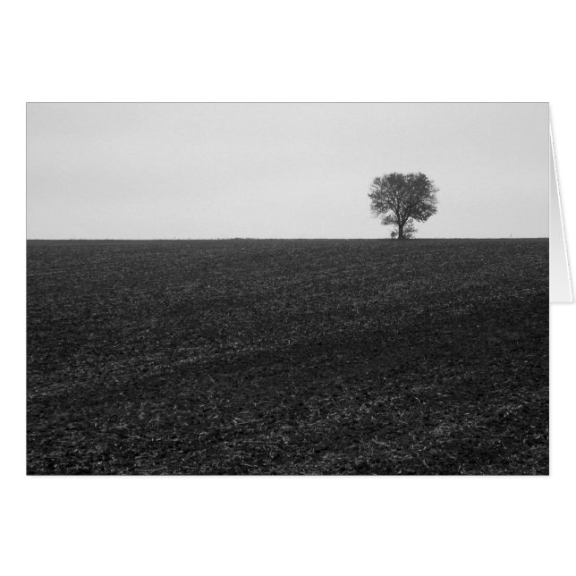 Lonely Tree Cards (Front Horizontal)
