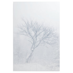 Lonely tree during snow storm in winter gallery wrap