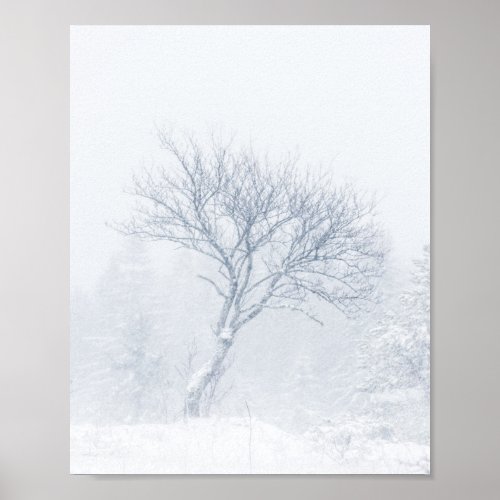 Lonely tree during snow storm in winter poster