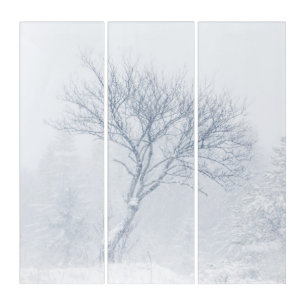 Lonely tree during snow storm in winter triptych