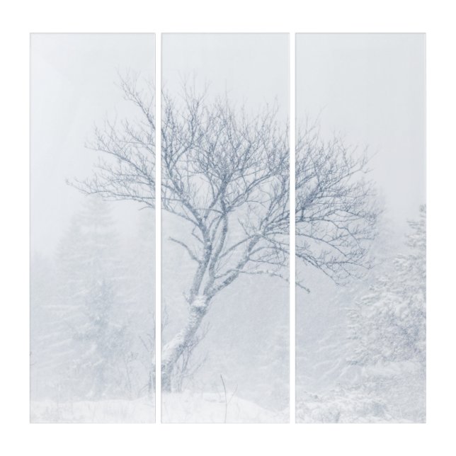 Lonely tree during snow storm in winter triptych (Front)