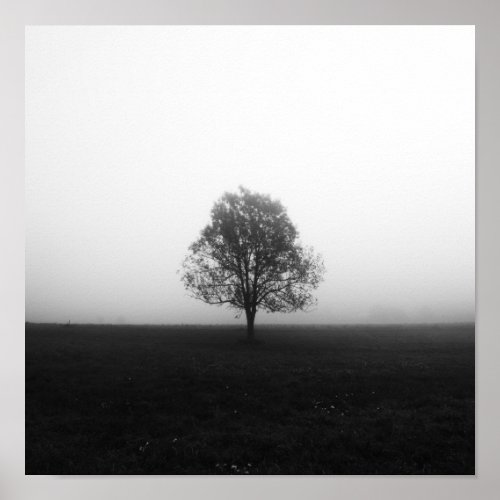 Lonely tree in fog black and white poster