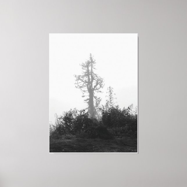 Lonely Tree in Morning Mist Canvas Print (Front)