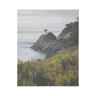 Lonely Tree in Point Lobos Gallery Wrap