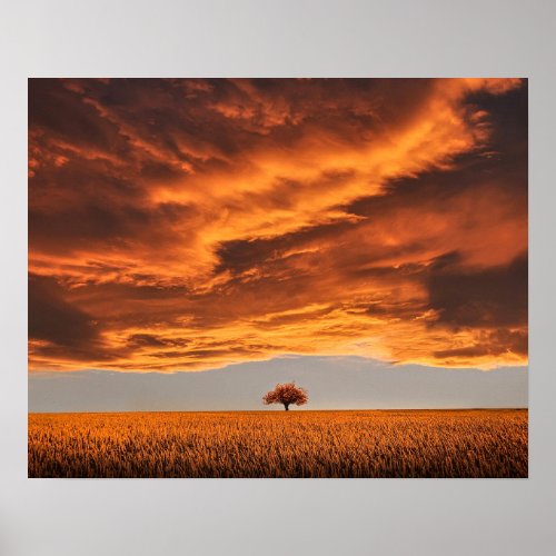 lonely tree nature abstract landscape poster