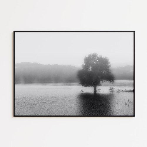 Lonely tree on lake with fog black and white poster