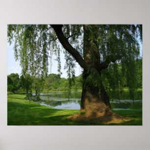 Lonely Tree Poster