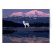 Lonely Wolf (Front Horizontal)