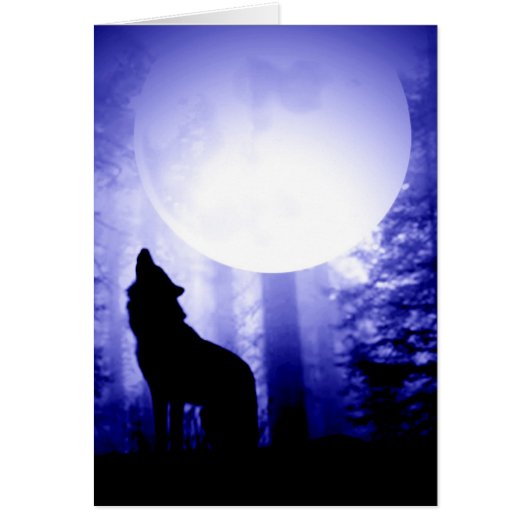 Lonely Wolf Howling at Moon Cards (Front)