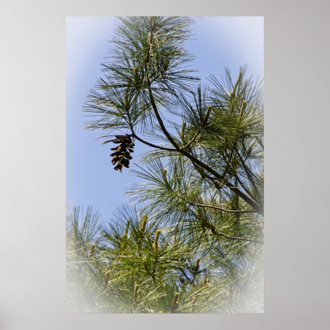 Loner Poster (Front)