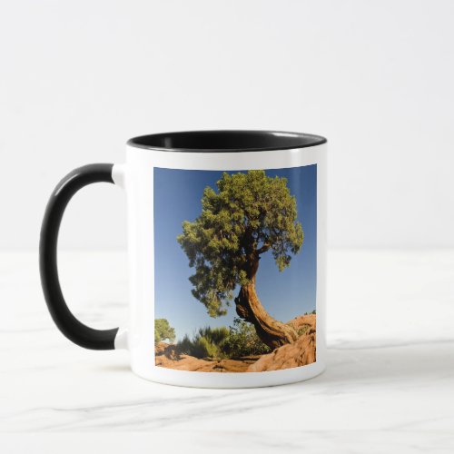 Lonesome Cedar Deadhorse Point State Park Mug