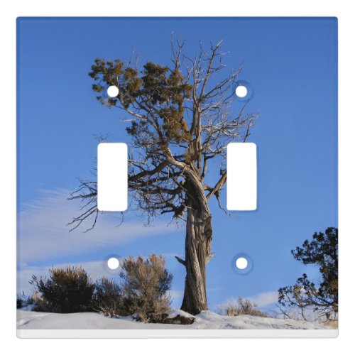 Lonesome Cedar Light Switch Cover