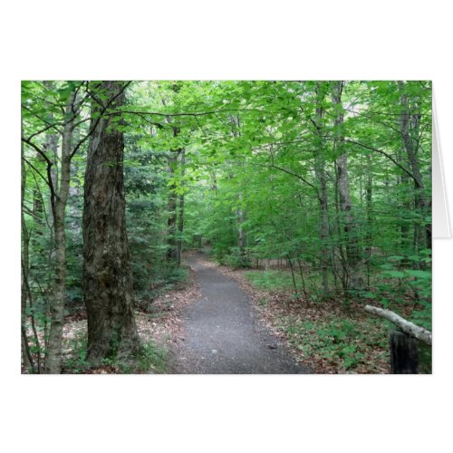 Lonesome Lake Trail in New Hampshire