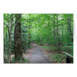 Lonesome Lake Trail in New Hampshire Cards