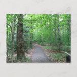 Lonesome Lake Trail in New Hampshire Postcard