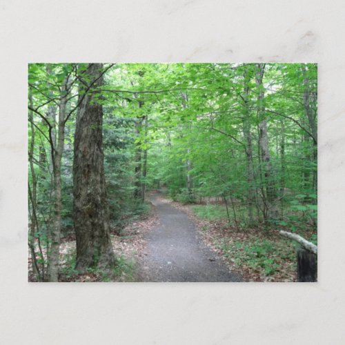 Lonesome Lake Trail in New Hampshire Postcard