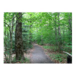 Lonesome Lake Trail in New Hampshire Poster