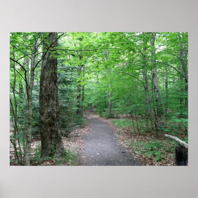 Lonesome Lake Trail in New Hampshire Poster (Front)