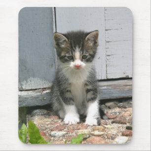 Lonesome Sad Gershwin Kitty Cat Kitten Mousepad