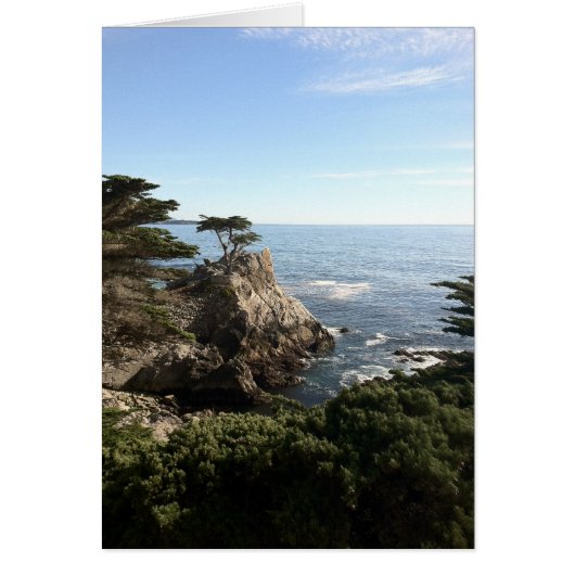 Lonesome Tree Cards (Front)