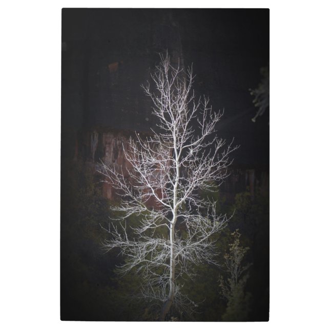 Loney tree of Zion Metal Print (Front)