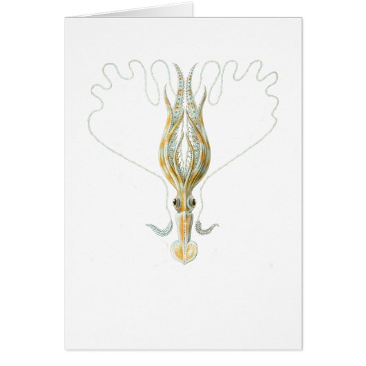 Long-armed Squid Cards (Front)