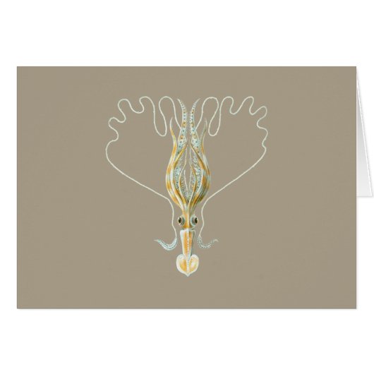 Long-armed Squid Cards (Front Horizontal)