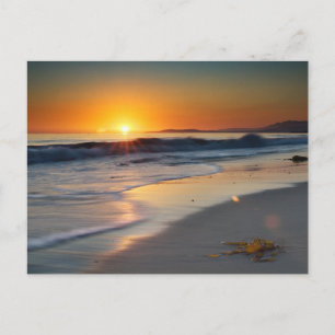 Long Beach California Postcard