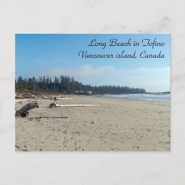 Long Beach in Tofino - BC, Canada Postcard (Front)