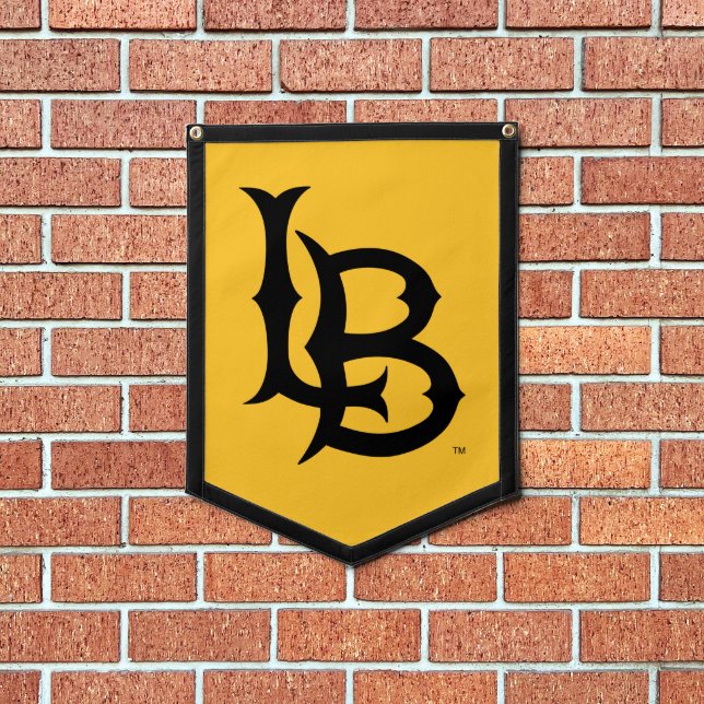Long Beach State University Pennant (Insitu 1)