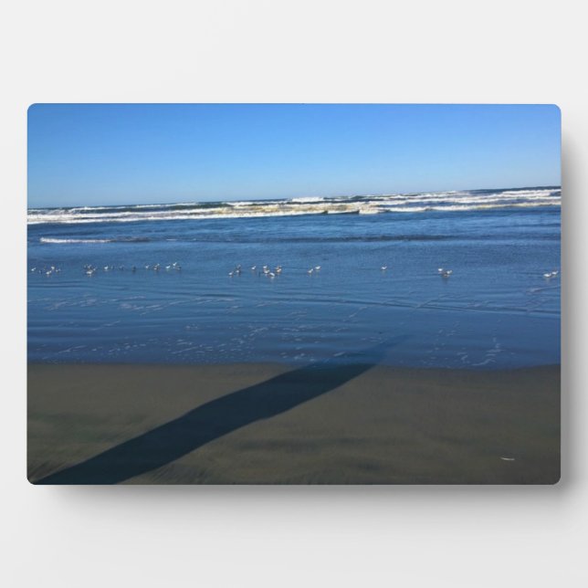 Long Beach, Washington Plaque (Front)