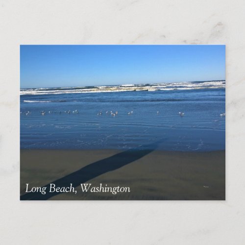 Long Beach Washington Postcard