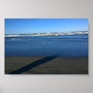 Long Beach, Washington Poster