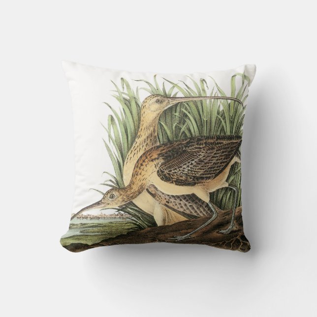 Long-billed Curlew by Audubon Throw Pillow (Front)