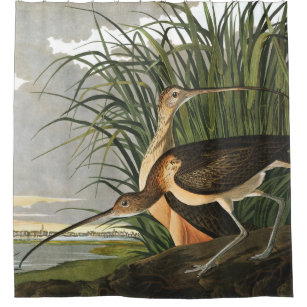 Long-billed Curlew by Audubon Vintage Marsh Bird Shower Curtain