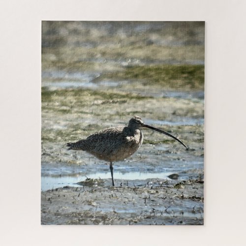 Long_billed Curlew Jigsaw Puzzle
