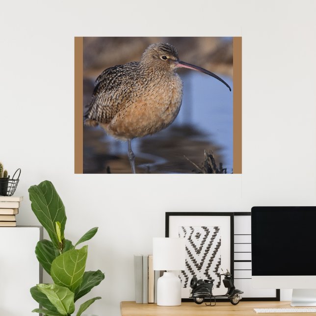 Long Billed Curlew Poster (Home Office)