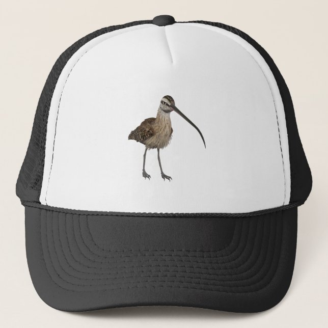 Long-Billed Curlew Trucker Hat (Front)