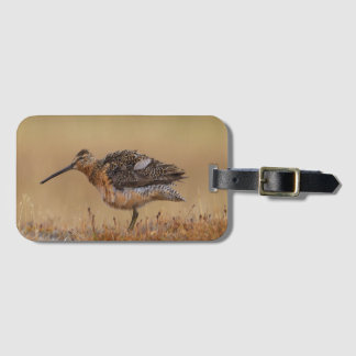 Long-billed Dowitcher Luggage Tag