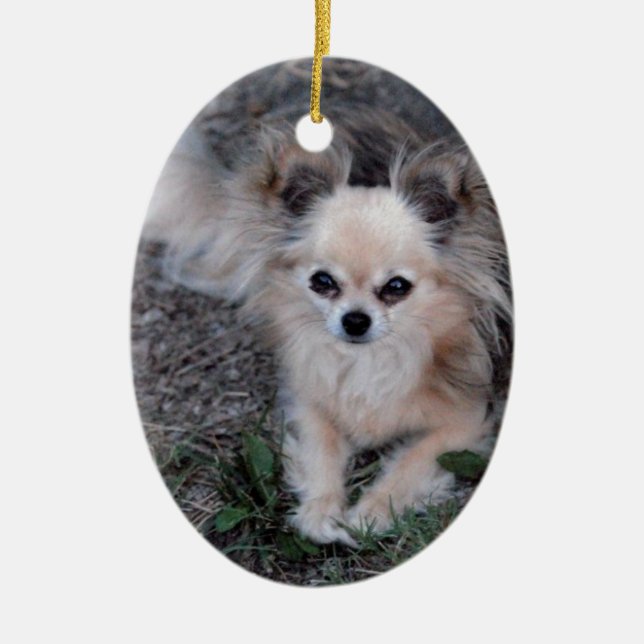 Long Coat Chihuahua Ceramic Ornament (Front)