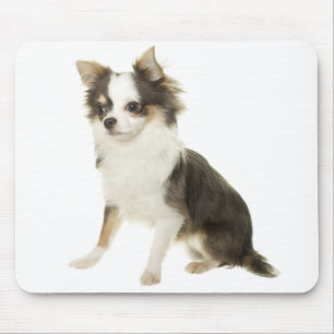 Long Coat Chihuahua Puppy Dog Computer Mousepad