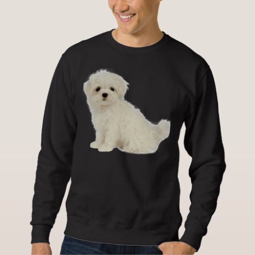 Long Coated White Puppy Maltese Dog Poodle Shih Tz Sweatshirt