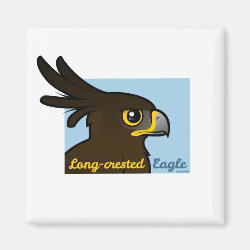 Long-crested Eagle Portrait Square Magnet