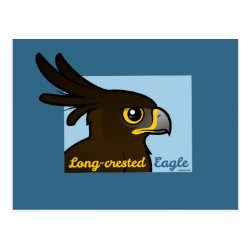 Long-crested Eagle Portrait Postcard