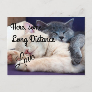Long Distance Love Postcard