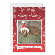 Long Dog Snowflake Christmas Card